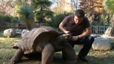 Ocean Mysteries with Jeff Corwin Season 1 Episode 18