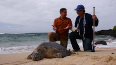 Ocean Mysteries with Jeff Corwin Season 1 Episode 22