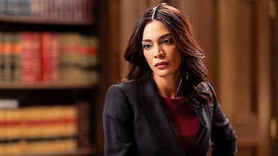 Law & Order Season 22 Episode 10
