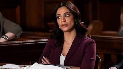 Law & Order Season 23 Episode 13