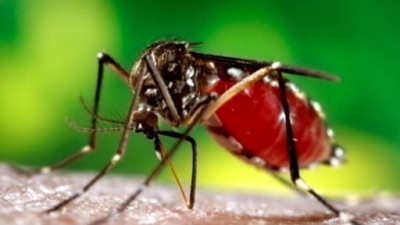 ABC Good Morning America Health Season 1 Episode 102