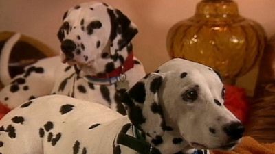 Good Dog! Season 4 Episode 6
