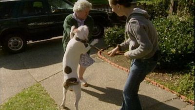 Good Dog! Season 2 Episode 4