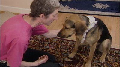 Good Dog! Season 2 Episode 6