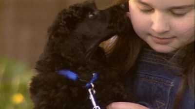 Good Dog! Season 2 Episode 10