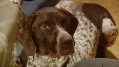 Good Dog! Season 2 Episode 17