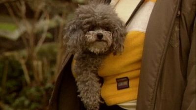 Good Dog! Season 3 Episode 2