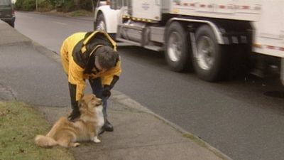 Good Dog! Season 3 Episode 3