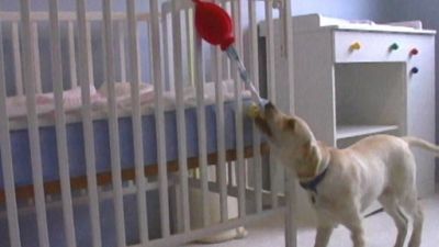 Good Dog! Season 3 Episode 6