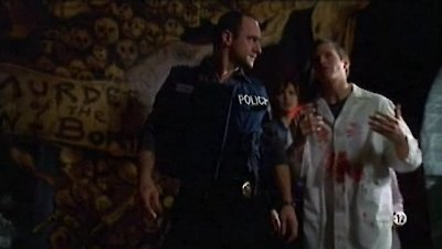 Law & Order: Special Victims Unit Season 8 Episode 17