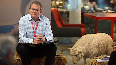 W1A Season 2 Episode 4
