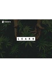 PRÃ˜HBTD LEARN