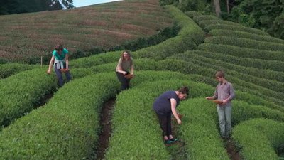 Ocean Treks with Jeff Corwin Season 2 Episode 4