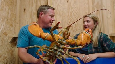 Ocean Treks with Jeff Corwin Season 1 Episode 1