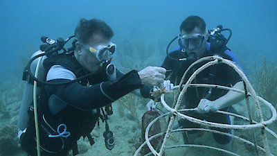 Ocean Treks with Jeff Corwin Season 1 Episode 8