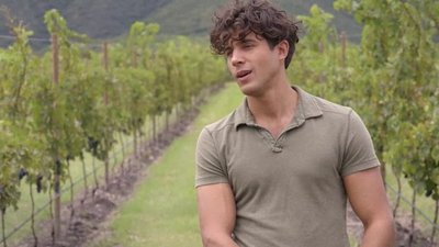 Vino el Amor Season 1 Episode 31