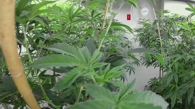 CNBC Originals Season 3 Episode 2