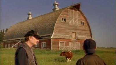 Corner Gas Season 4 Episode 5