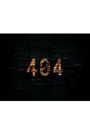 '404'