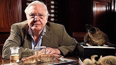 David Attenborough's Natural Curiosities Season 1 Episode 2