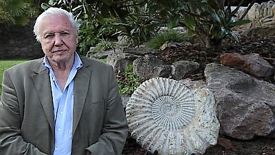 David Attenborough's Natural Curiosities Season 1 Episode 4