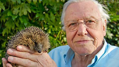 David Attenborough's Natural Curiosities Season 2 Episode 2