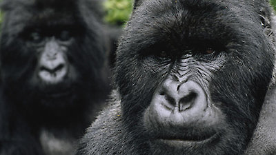 David Attenborough's Natural Curiosities Season 2 Episode 5