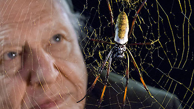 David Attenborough's Natural Curiosities Season 2 Episode 8