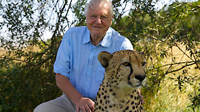 David Attenborough's Natural Curiosities Season 3 Episode 1