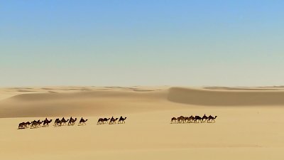 David Attenborough's Natural Curiosities Season 3 Episode 3