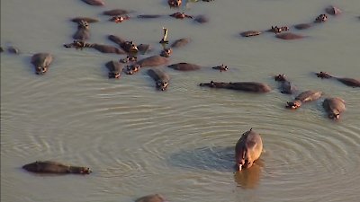 David Attenborough's Natural Curiosities Season 3 Episode 5