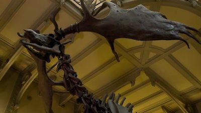 David Attenborough's Natural Curiosities Season 3 Episode 6