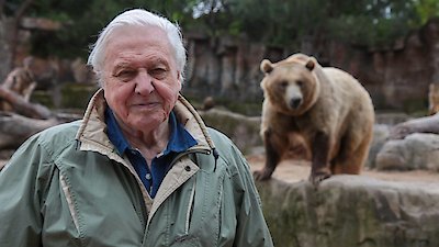 David Attenborough's Natural Curiosities Season 4 Episode 1