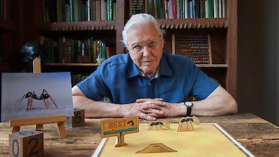 David Attenborough's Natural Curiosities Season 4 Episode 4