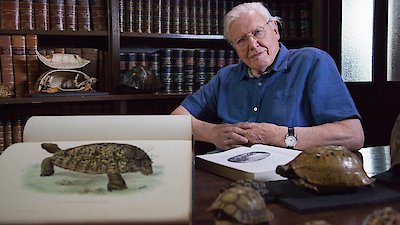 David Attenborough's Natural Curiosities Season 4 Episode 5