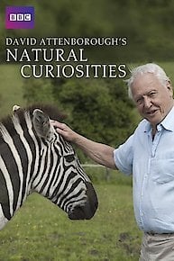 David Attenborough's Natural Curiosities