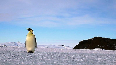 Continent 7: Antarctica Season 1 Episode 6