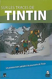 In the Footsteps of Tintin