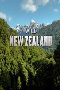 Wild New Zealand