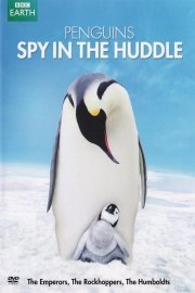Penquins: Spy in the Huddle