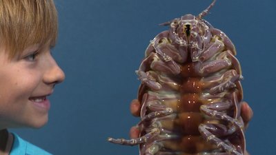 Splash and Bubbles Season 1 Episode 12