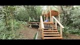 A Yurt in the Rainforest