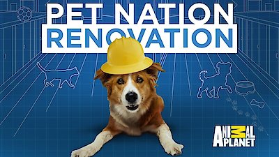 Pet Nation Renovation Season 1 Episode 1