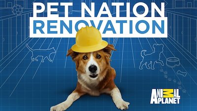 Pet Nation Renovation Season 1 Episode 2