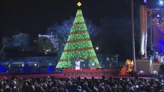 National Christmas Tree Lighting - The National Christmas Tree Lighting 2024