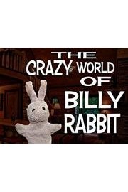 The Crazy World of Billy Rabbit