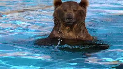 Expedition Wild Season 1 Episode 25