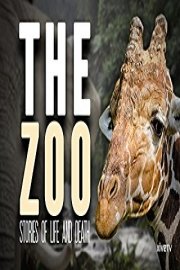 The Zoo: Stories of Life and Death