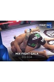 Mix Fight Gala