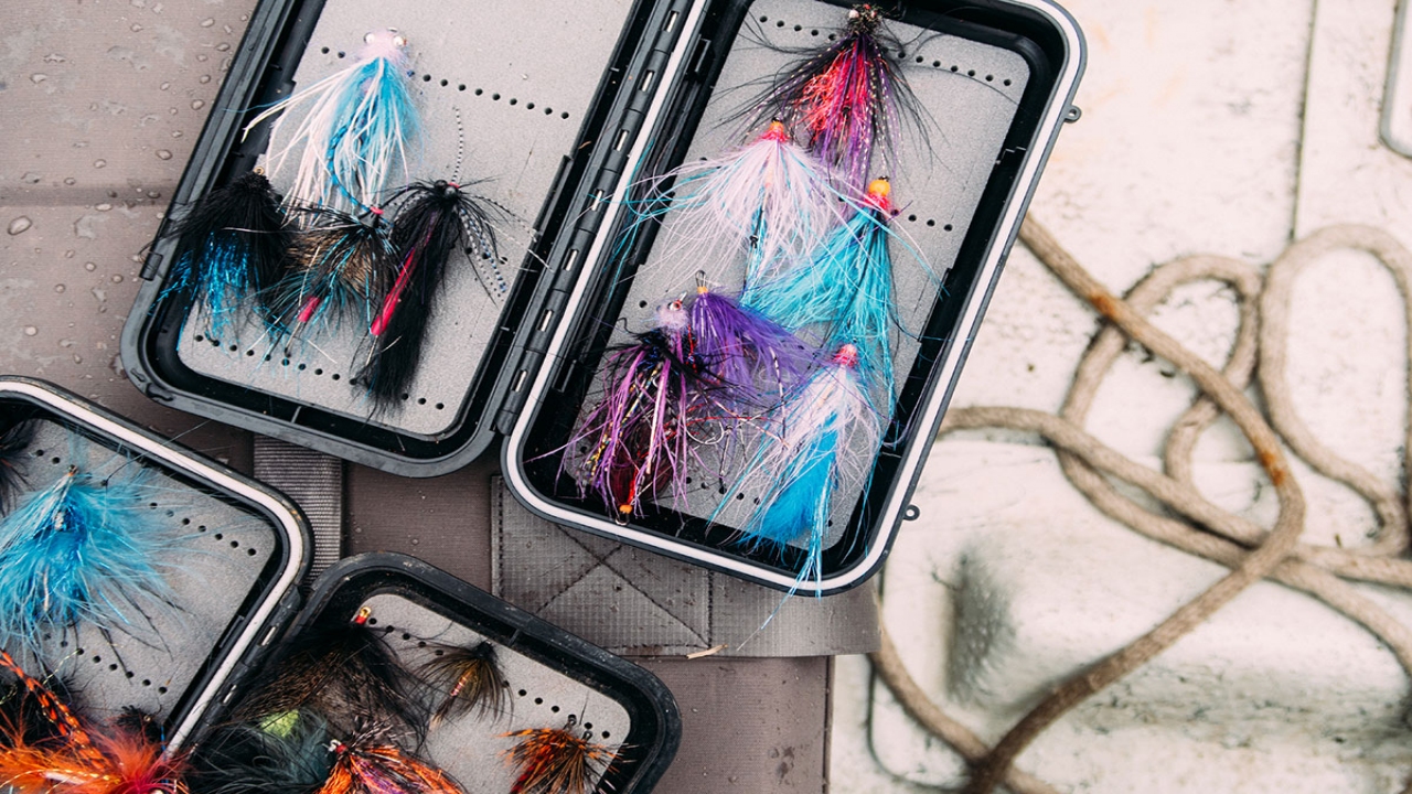 DPReview Camera Field Tests